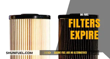 Do Fuel Filters Expire? Understanding Lifespan and Replacement Needs