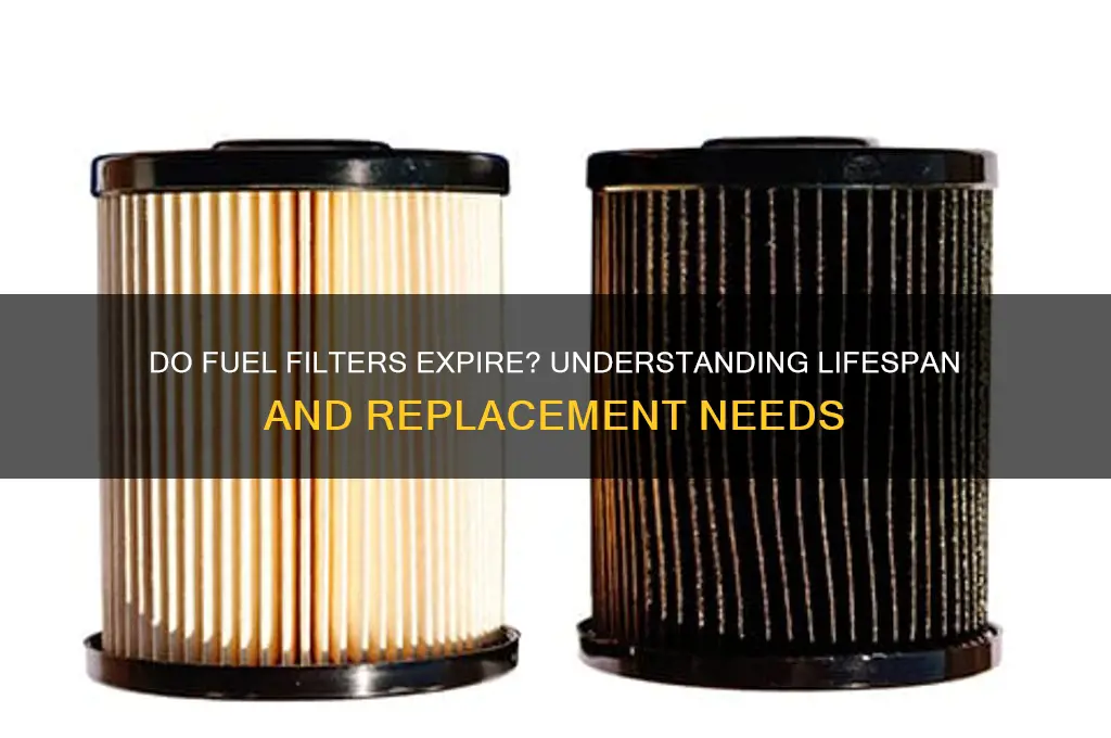 do fuel filters expire