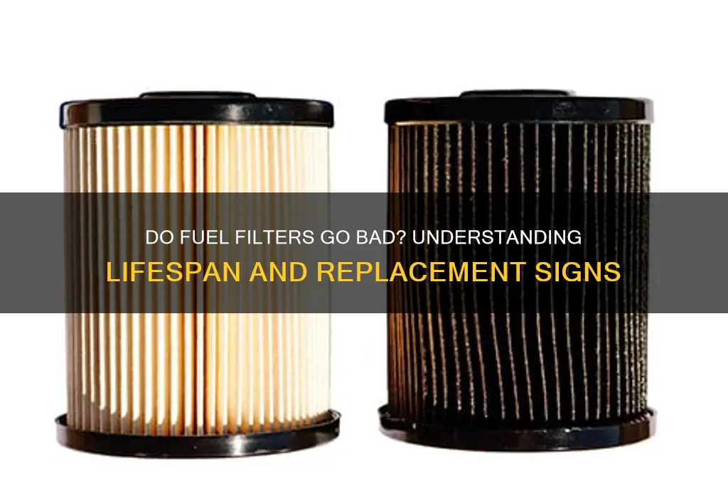 do fuel filters go bad
