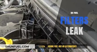 Do Fuel Filters Leak? Causes, Signs, and Prevention Tips