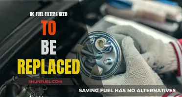 Fuel Filters: To Replace or Not?