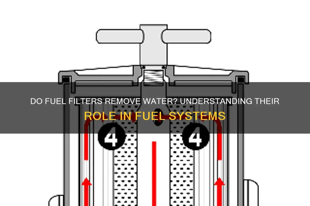 do fuel filters remove water
