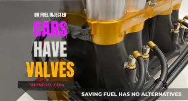 Fuel Injected Cars: Valves and Their Functionality