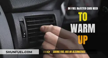 Fuel Injected Cars: Warm-Up Needed or Not?
