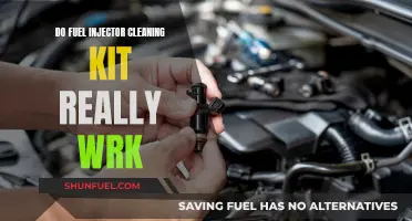 Fuel Injector Cleaning Kits: Effective or Wasteful?