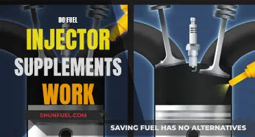 Fuel Injector Supplements: Effective or Expensive Placebo?