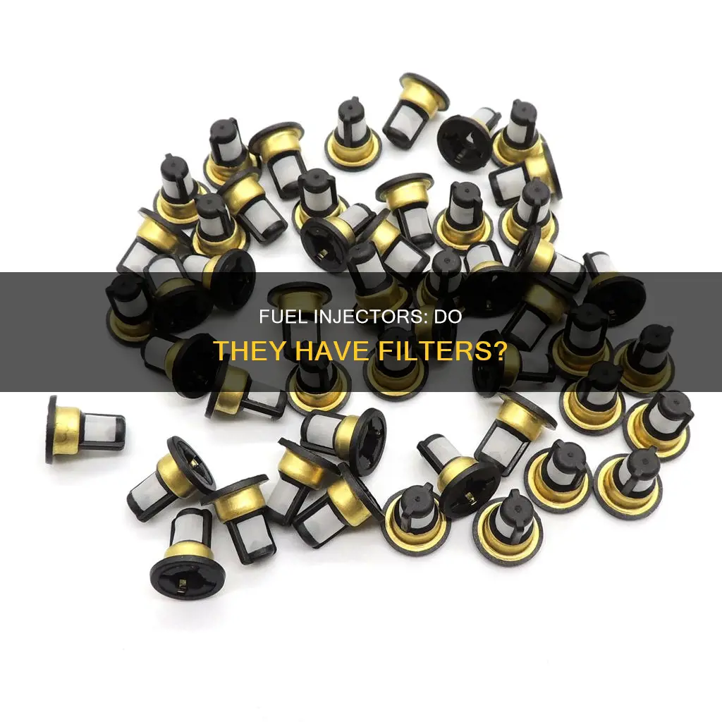 do fuel injectors have a filter