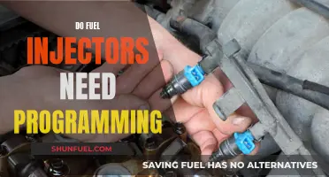 Fuel Injector Programming: Is It Necessary?