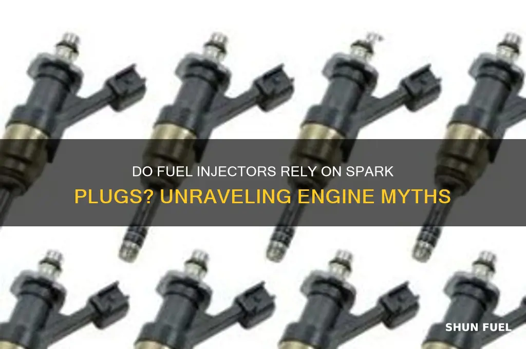 do fuel injectors use spark plugs