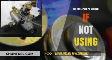Can Unused Fuel Pumps Fail Over Time? Exploring the Risks