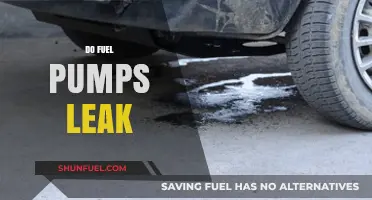 Do Fuel Pumps Leak? Understanding Causes, Risks, and Prevention Tips