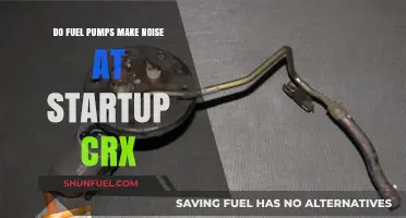 Why Your CRX Fuel Pump Makes Noise at Startup: Explained