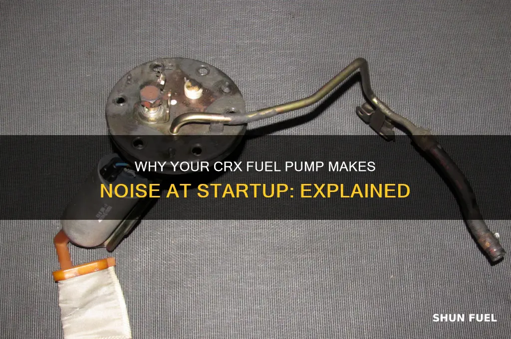 do fuel pumps make noise at startup crx