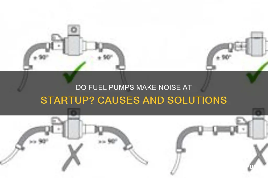 do fuel pumps make noise at startup