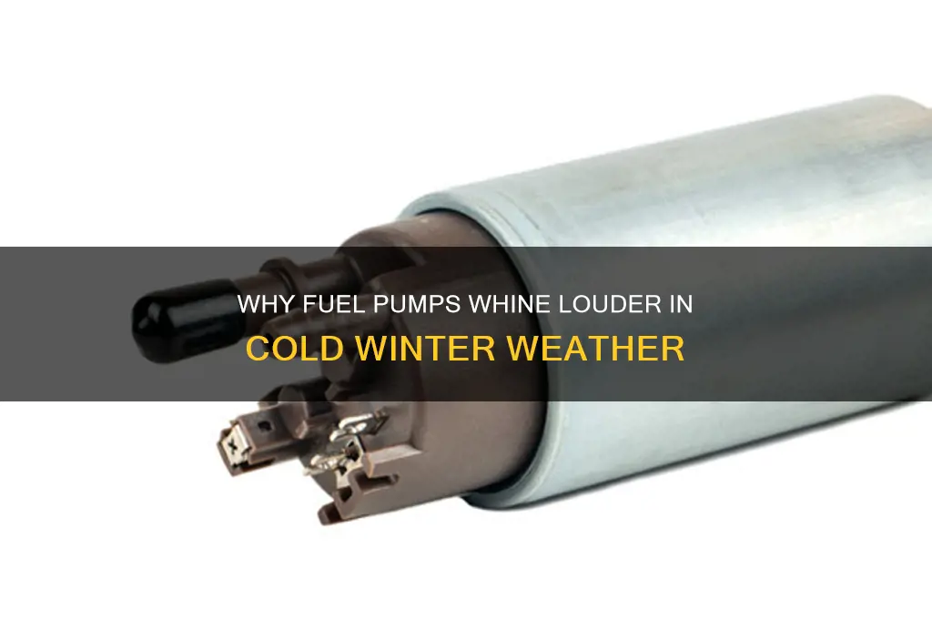 do fuel pumps whine more in winter