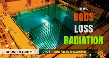 Do Fuel Rods Lose Radiation Over Time? Exploring Nuclear Decay