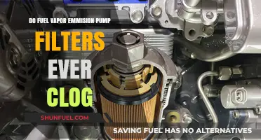 Can Fuel Vapor Emission Pump Filters Clog Over Time?