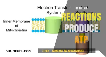 Do Fueling Reactions Produce ATP? Exploring Cellular Energy Mechanisms