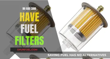 Gas Car Fuel Filters: What You Need to Know