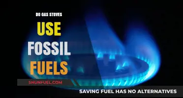 Gas Stoves: Fossil Fuel Energy Source?