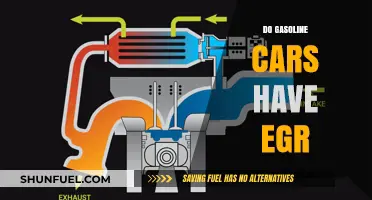 Decoding EGR Systems: Do Gasoline Cars Really Have Them?