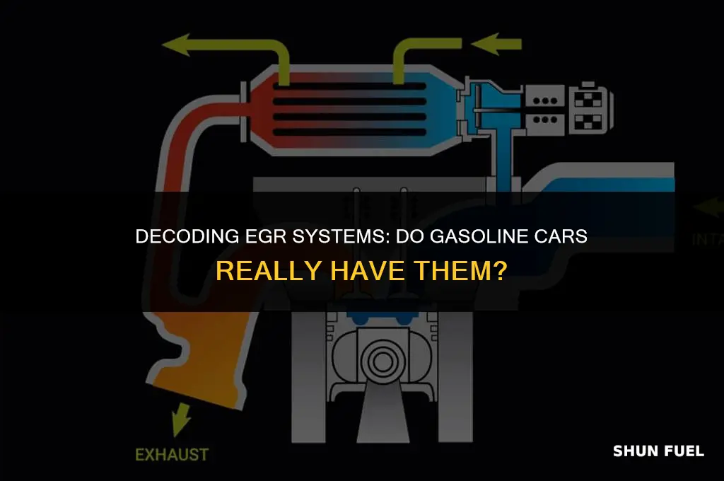 do gasoline cars have egr