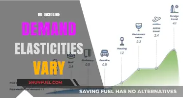 Exploring the Variability of Gasoline Demand Elasticities