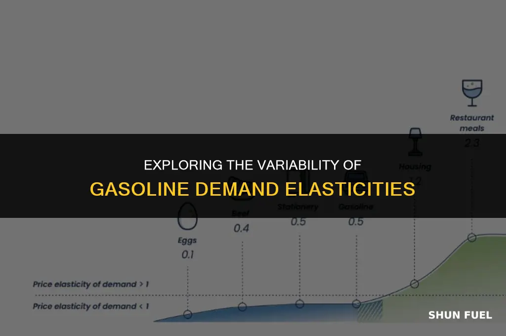 do gasoline demand elasticities vary