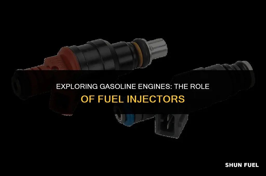 do gasoline engines have injectors