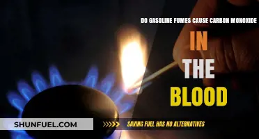 Exploring the Link: Gasoline Fumes and Carbon Monoxide in Blood
