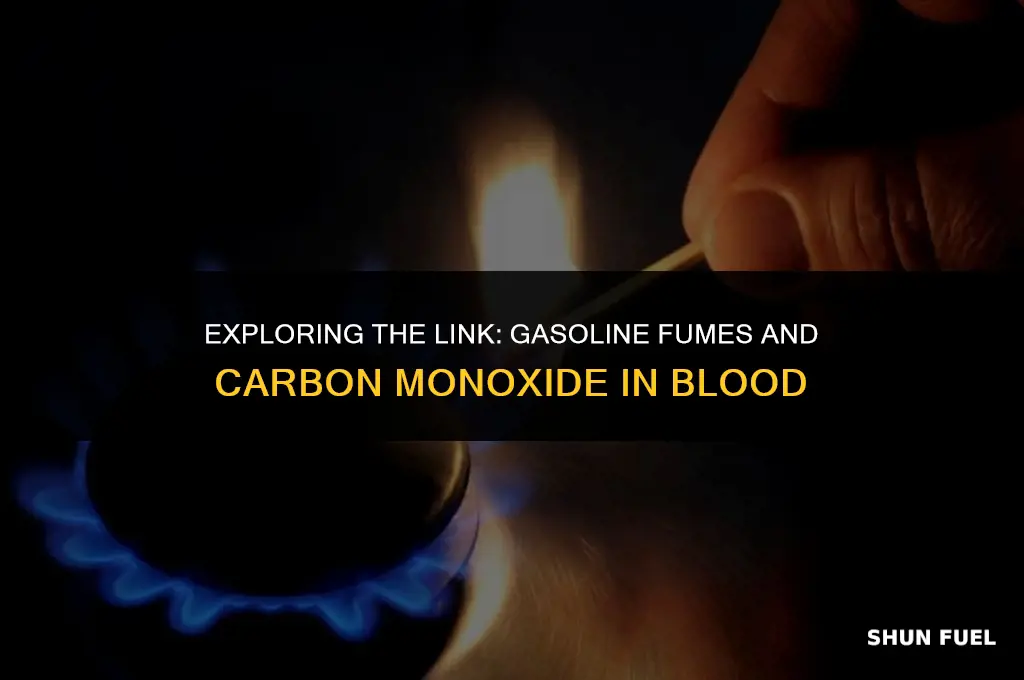 do gasoline fumes cause carbon monoxide in the blood