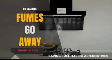 Clearing the Air: How to Eliminate Gasoline Fumes Safely
