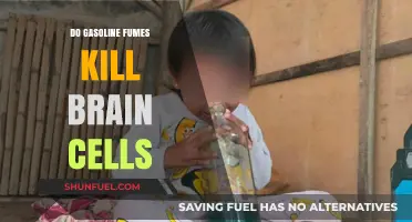 The Hidden Danger: How Gasoline Fumes Affect Brain Health