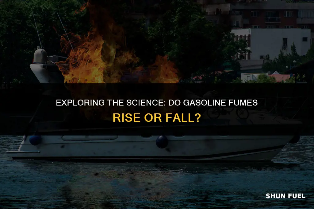 do gasoline fumes rise