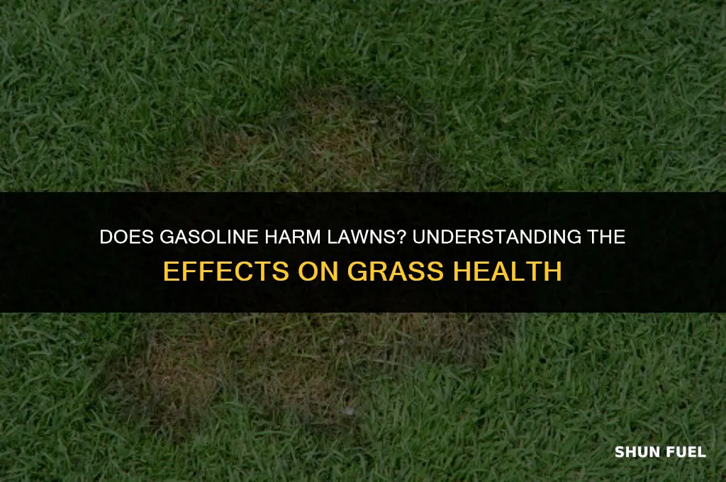 do gasoline kill grass