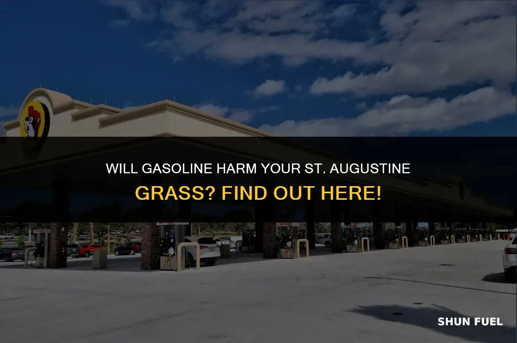 do gasoline make st augustine grass die