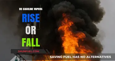 Exploring the Behavior of Gasoline Vapors: Do They Rise or Fall?