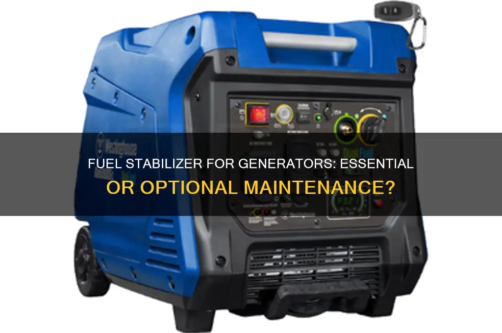 do generators need fuel stabilizer