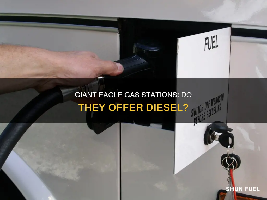 do giant eagle gas stations carry diesel fuel