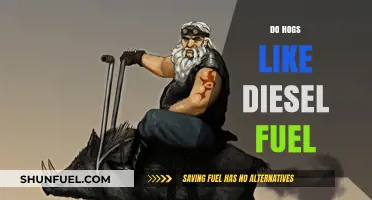 Why Do Hogs Hog Diesel Fuel?