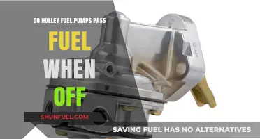 Do Holley Fuel Pumps Pass Fuel When Turned Off?