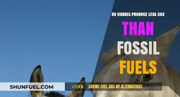 Horsepower: Greener Than Fossil Fuels?