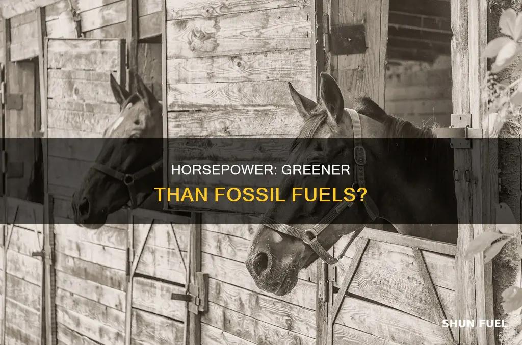 do horses produce less co2 than fossil fuels