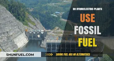 Hydroelectric Plants: Fossil Fuel-Free Energy?