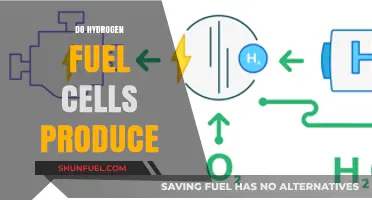 Do Hydrogen Fuel Cells Produce Emissions, Energy, or Both?
