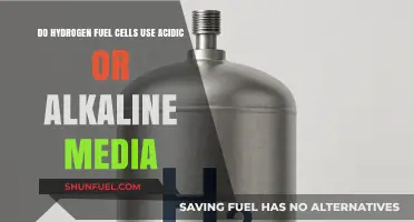 Hydrogen Fuel Cells: Acidic vs. Alkaline Media Explained