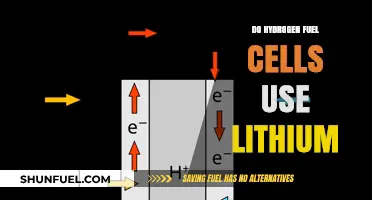 Hydrogen Fuel Cells vs. Lithium: Debunking the Energy Storage Myth