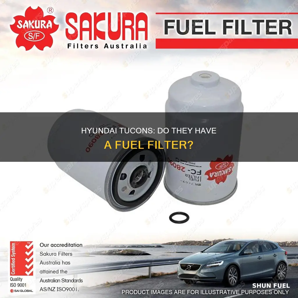 do hyundai tucons have a fuel filter