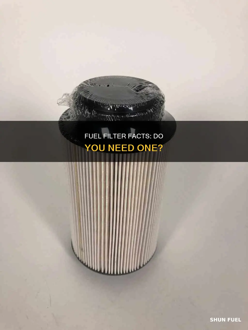 do i have a fuel filter