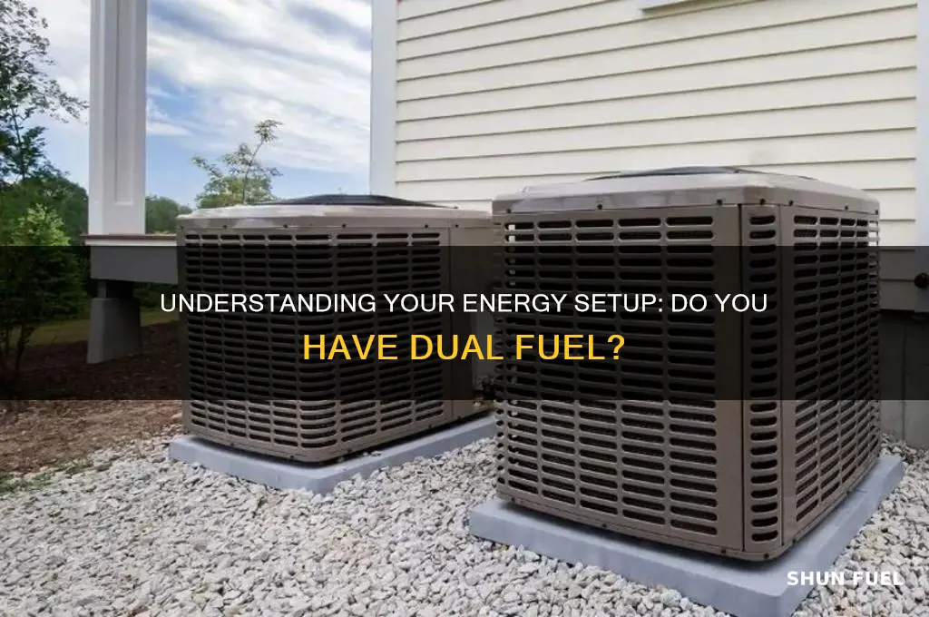 do i have duel fuel